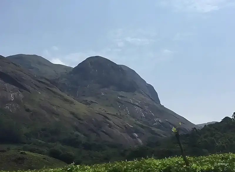 anamudi peak