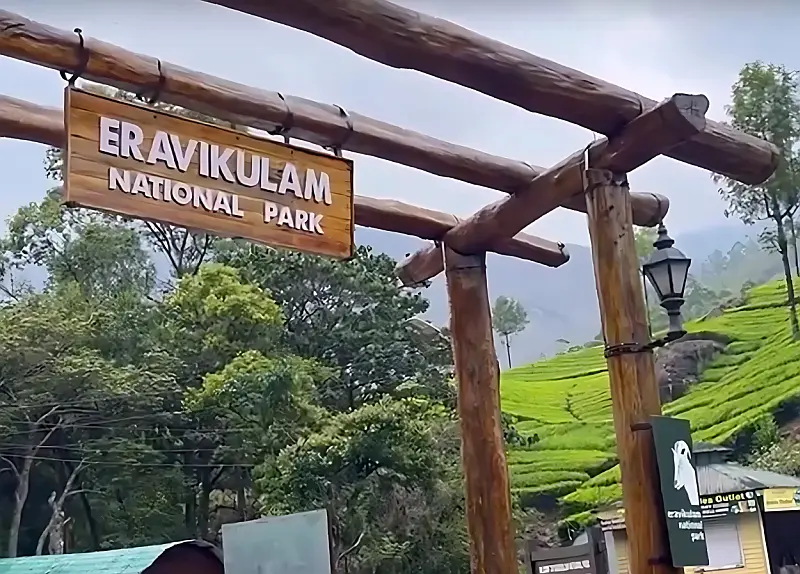 eravikulam national park