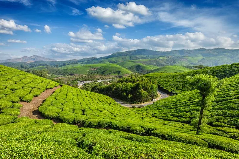 Beautiful view of Munnar Hill Station in Kerala